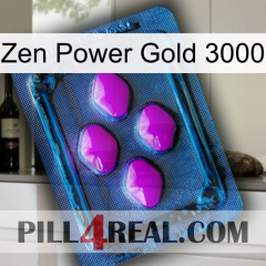 Zen Power Gold 3000 04